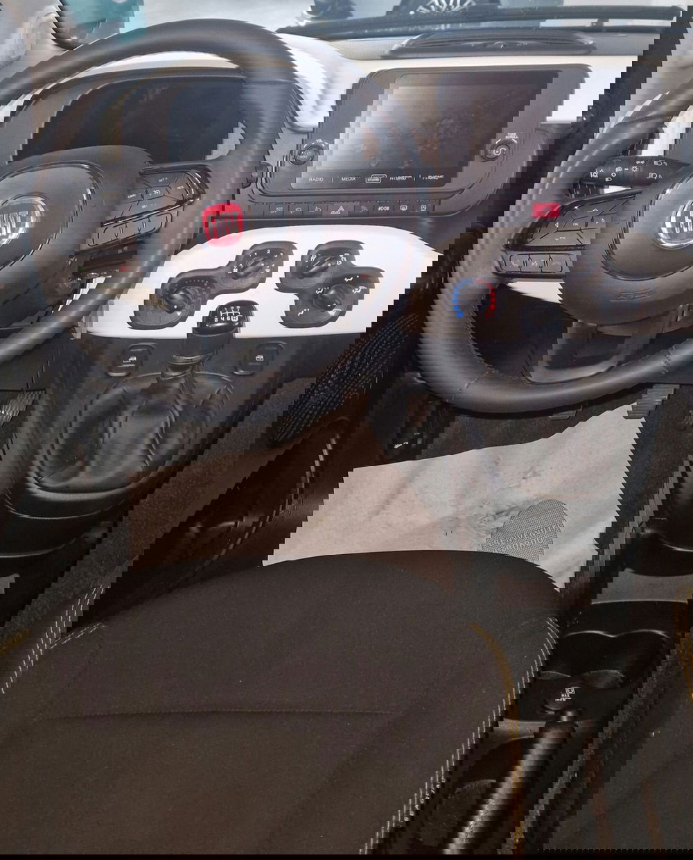 Fiat Pandina usata a Terni (11)