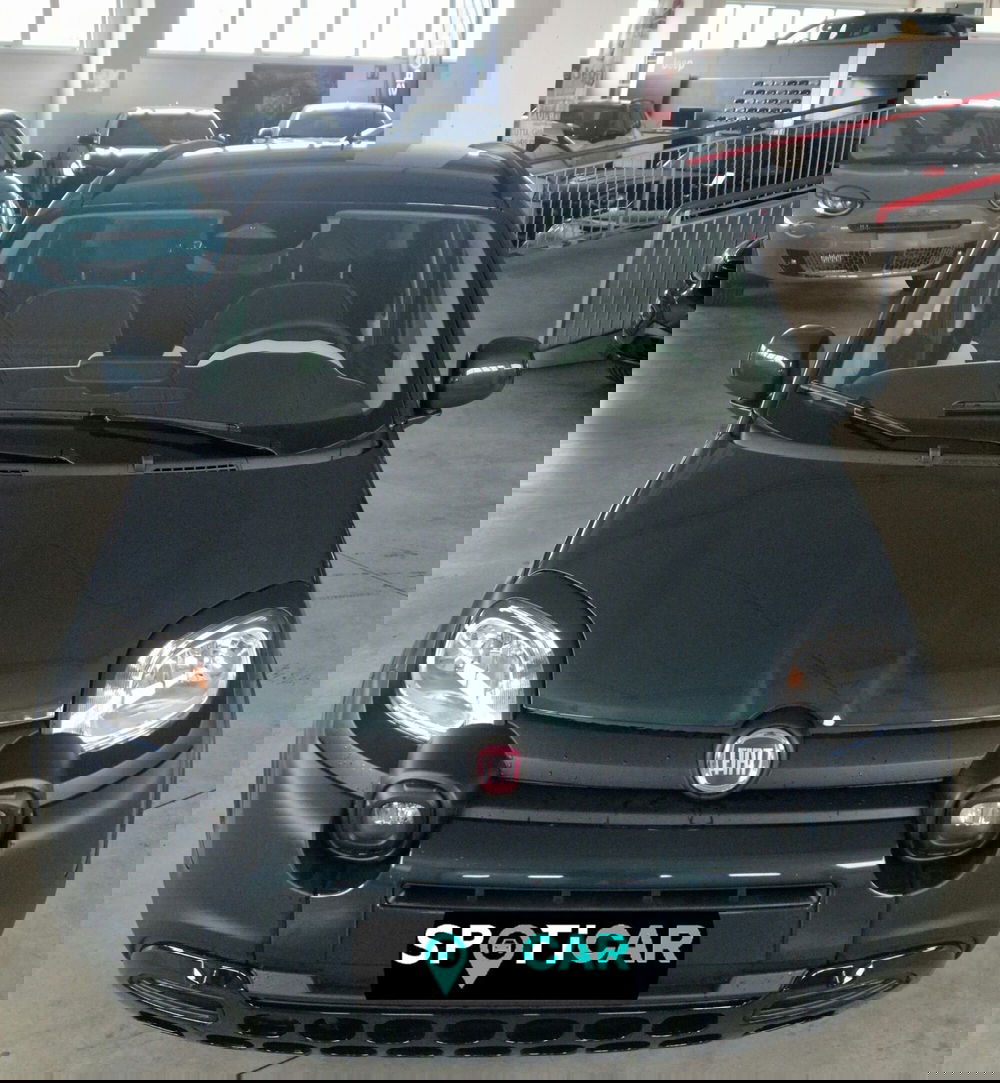 Fiat Pandina usata a Terni (2)