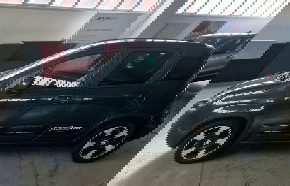 Fiat Pandina usata a Terni (6)