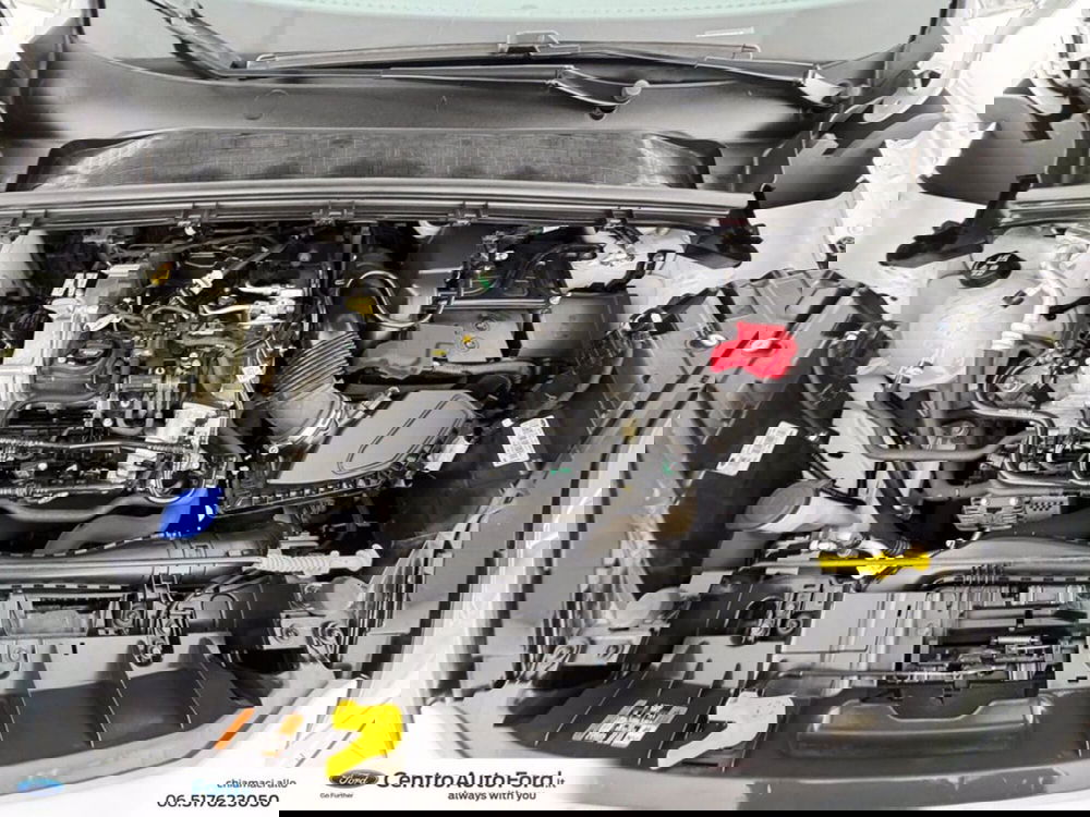 Ford Puma usata a Roma (12)