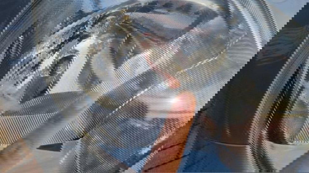 Nissan Micra usata a Savona (15)