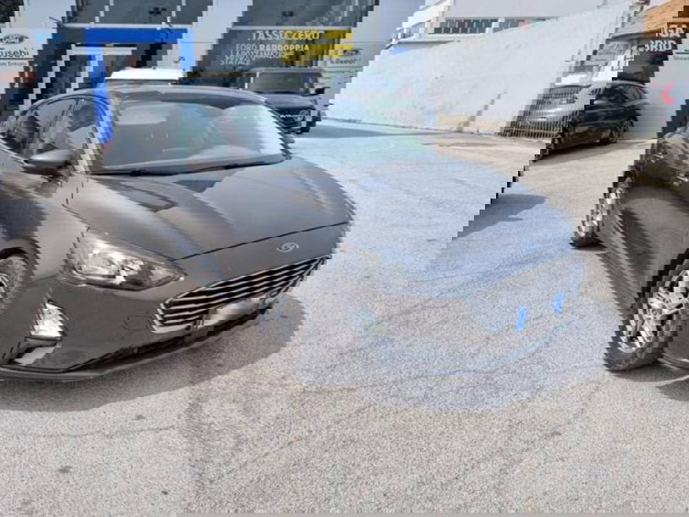 Ford Focus usata a Pesaro-Urbino