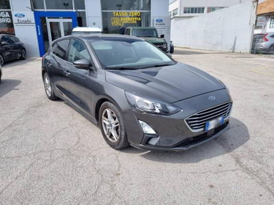 Ford Focus 1.5 EcoBlue 120 CV 5p. Business del 2020 usata a Fano