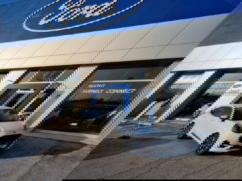 Ford Puma usata a Pesaro-Urbino