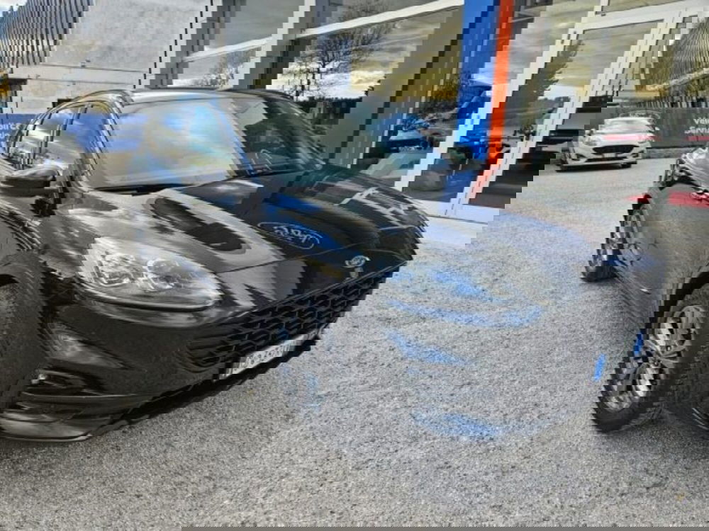 Ford Kuga usata a Pesaro-Urbino