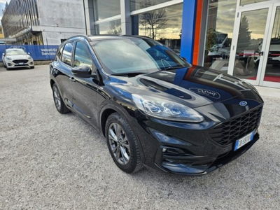 Ford Kuga 2.0 EcoBlue Hybrid 150 CV 2WD ST-Line X del 2020 usata a Fano