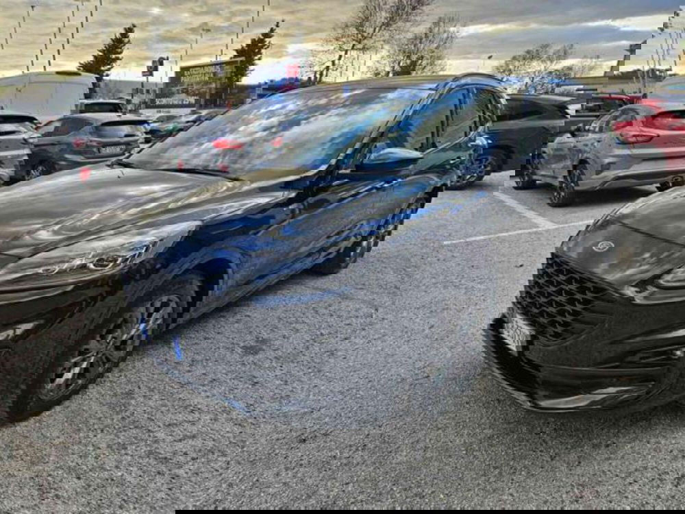 Ford Kuga usata a Pesaro-Urbino (2)