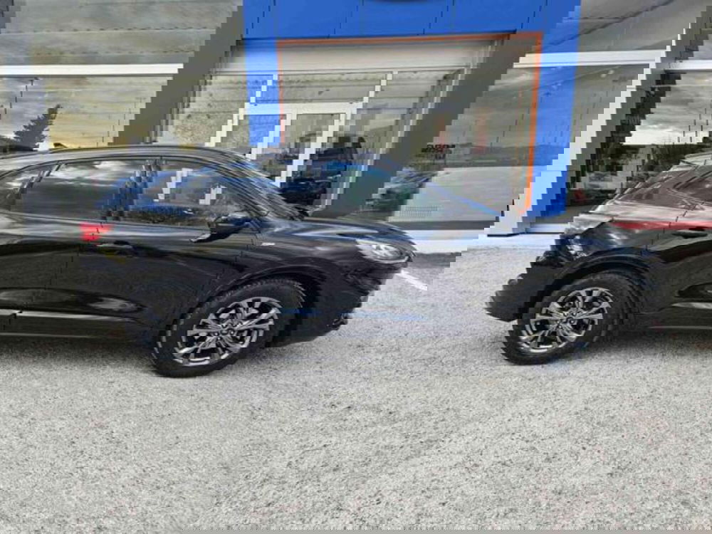 Ford Kuga usata a Pesaro-Urbino (4)