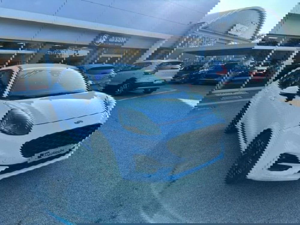 Ford Puma usata a Pesaro-Urbino