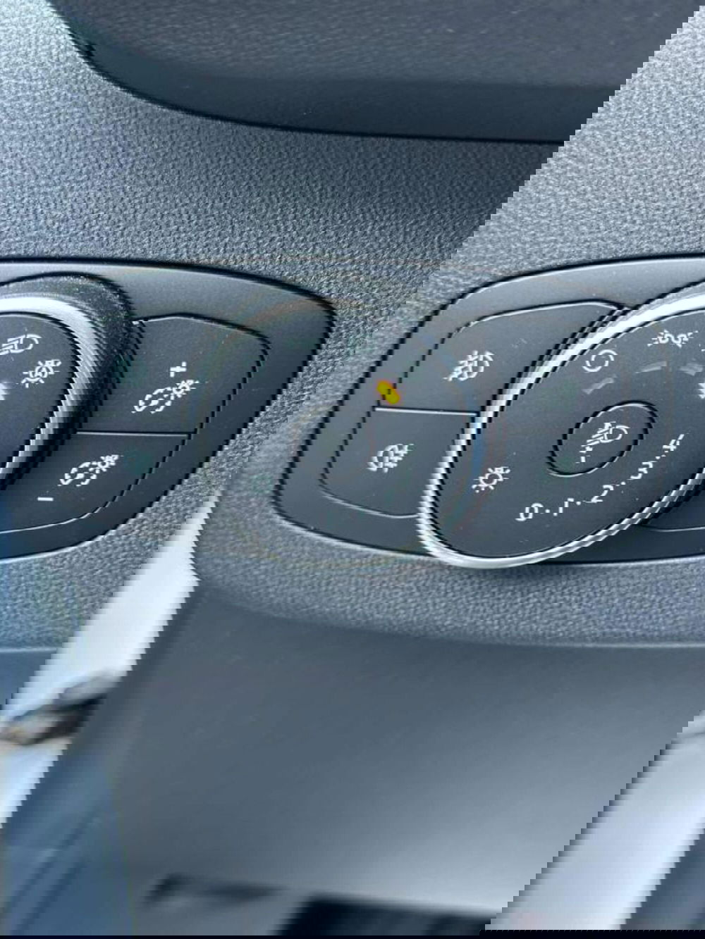 Ford Puma usata a Pesaro-Urbino (19)