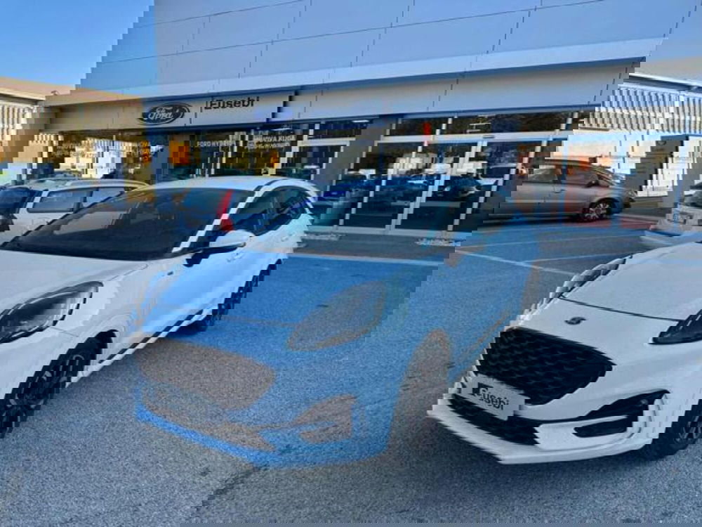 Ford Puma usata a Pesaro-Urbino (2)