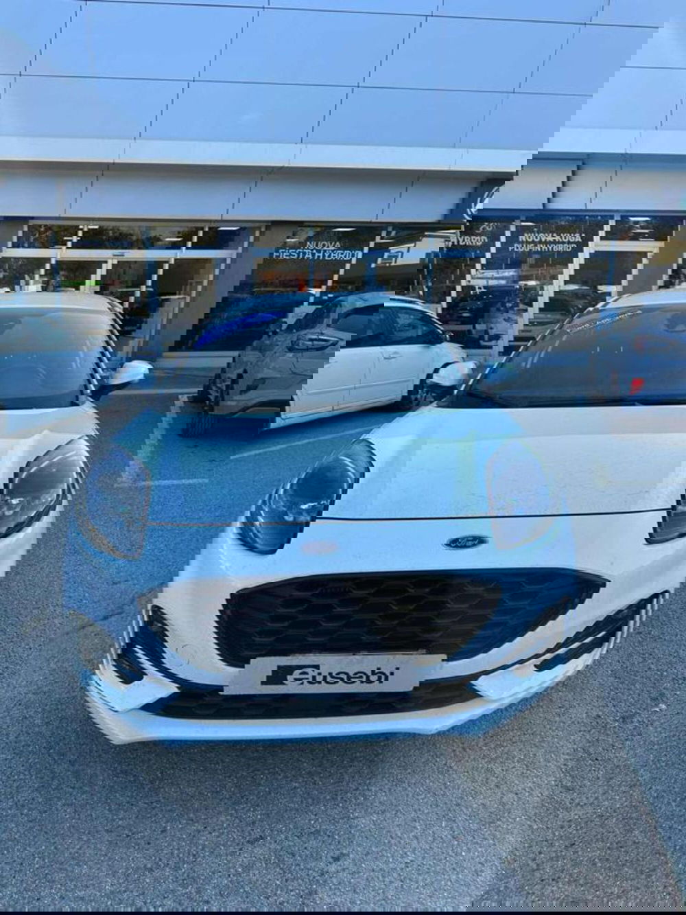 Ford Puma usata a Pesaro-Urbino (3)