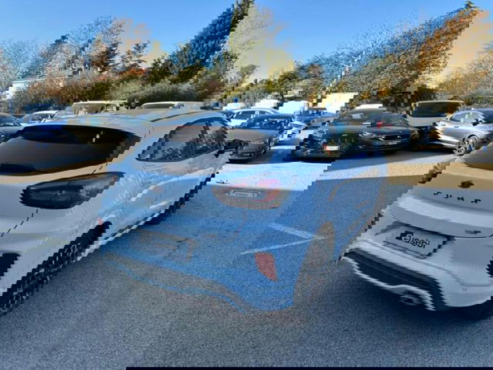 Ford Puma usata a Pesaro-Urbino (6)