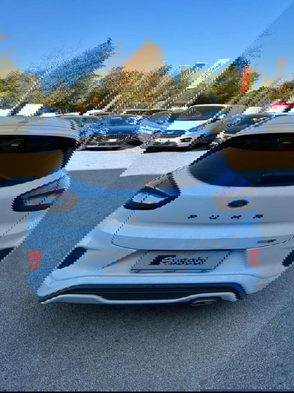 Ford Puma usata a Pesaro-Urbino (8)