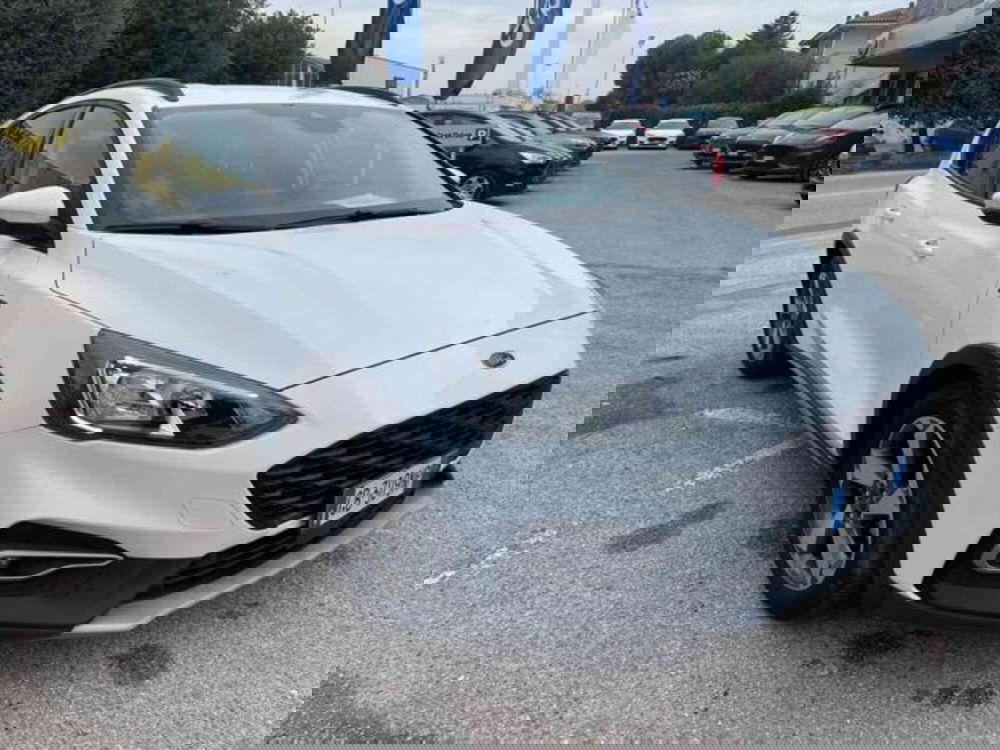 Ford Focus usata a Pesaro-Urbino