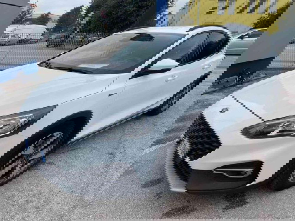 Ford Focus usata a Pesaro-Urbino (2)