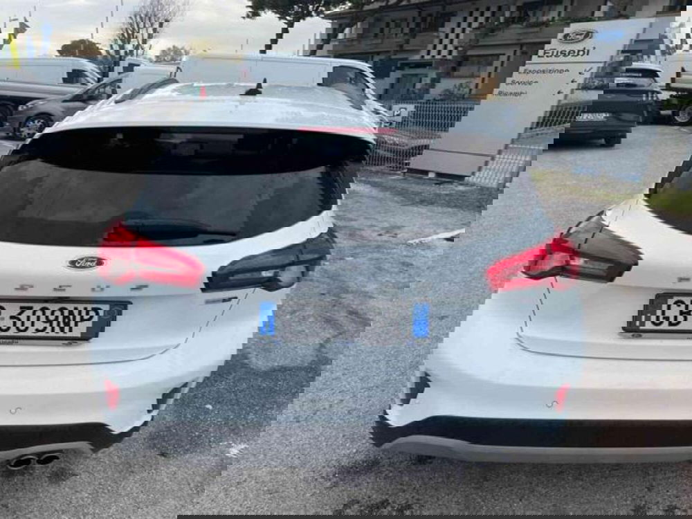 Ford Focus usata a Pesaro-Urbino (4)
