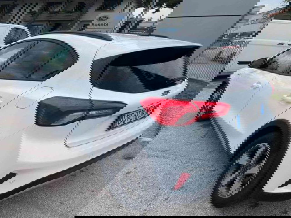 Ford Focus usata a Pesaro-Urbino (5)