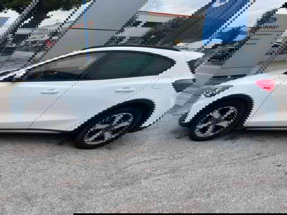 Ford Focus usata a Pesaro-Urbino (8)