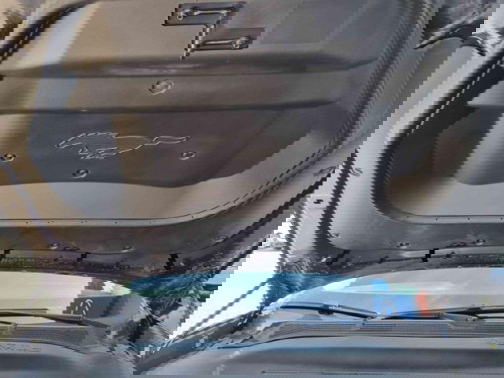 Ford Mustang Mach-E usata a Pesaro-Urbino (17)