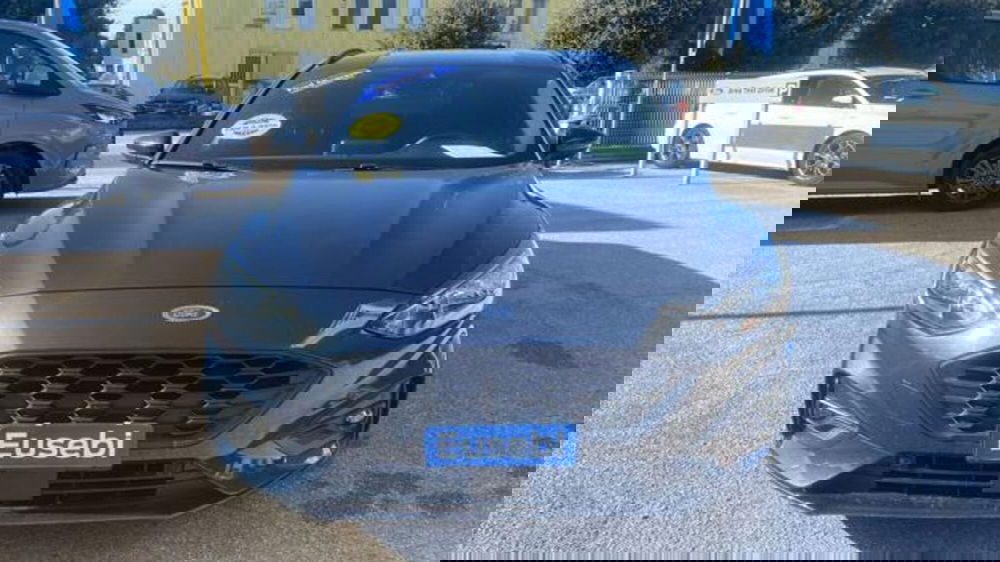 Ford Focus Station Wagon usata a Pesaro-Urbino (2)