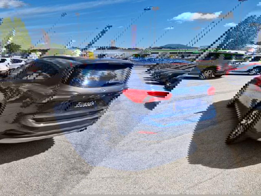 Ford Focus Station Wagon usata a Pesaro-Urbino (4)