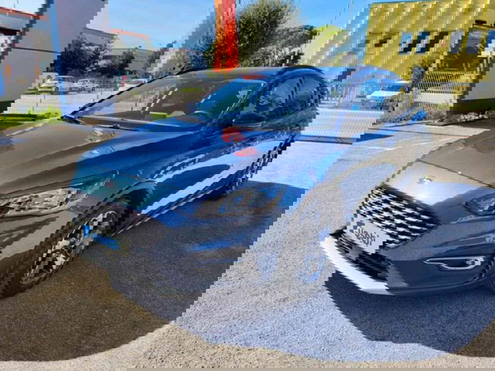 Ford Focus usata a Pesaro-Urbino (2)