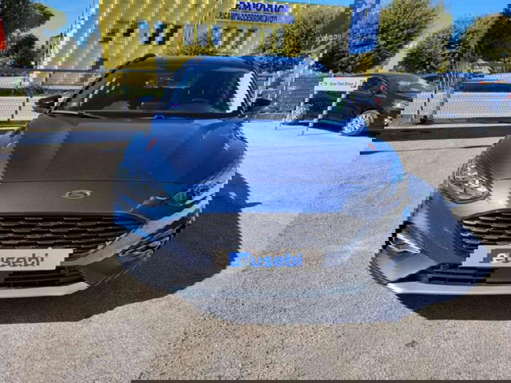 Ford Focus usata a Pesaro-Urbino (7)