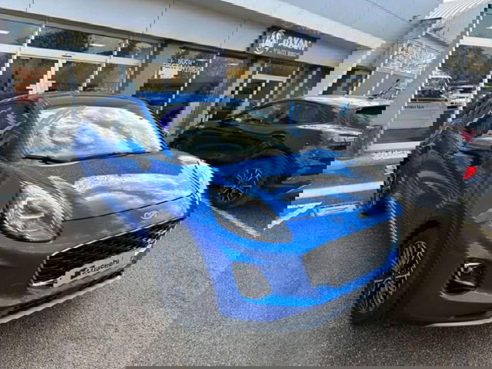 Ford Puma usata a Pesaro-Urbino