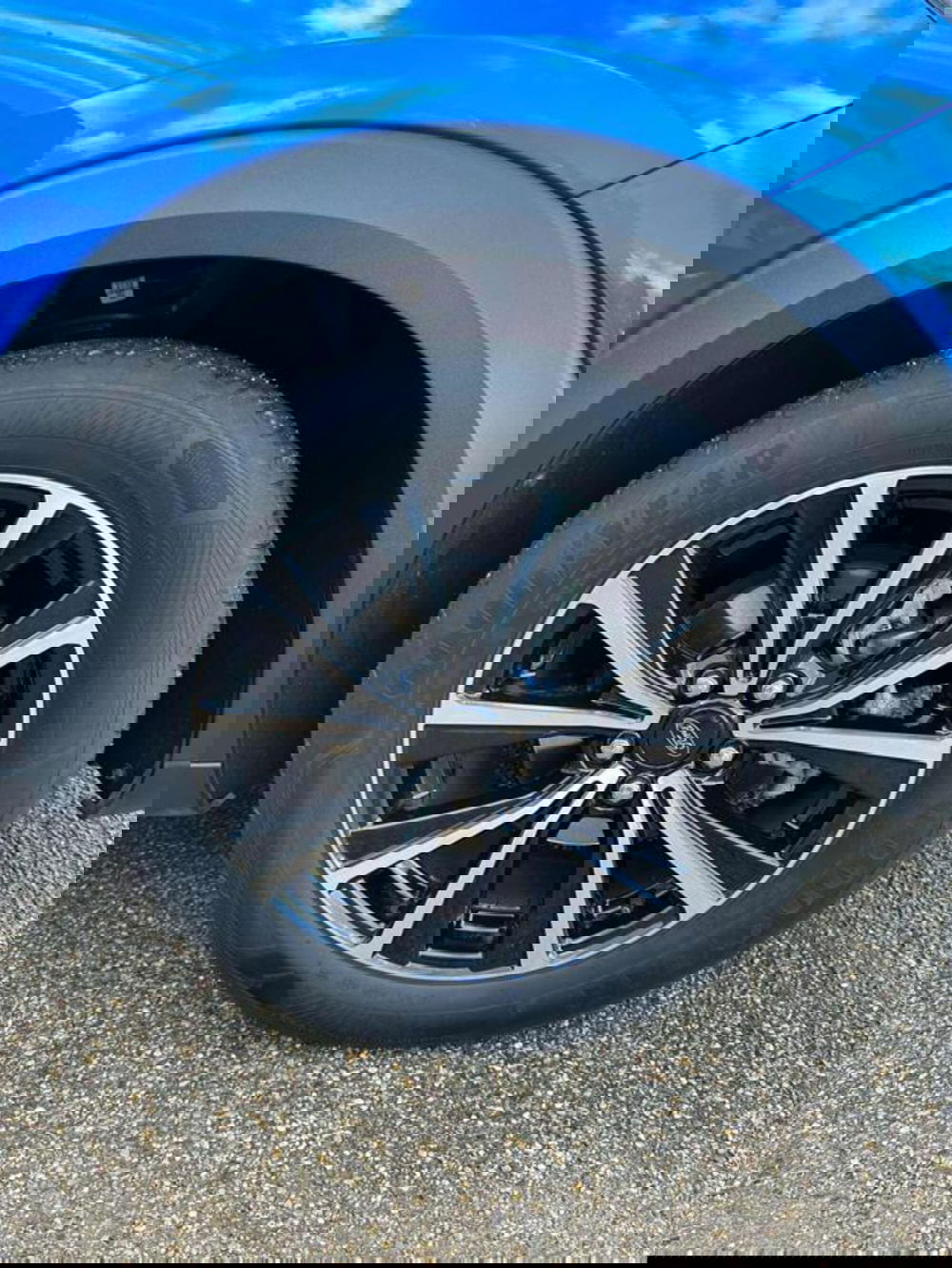 Ford Puma usata a Pesaro-Urbino (19)