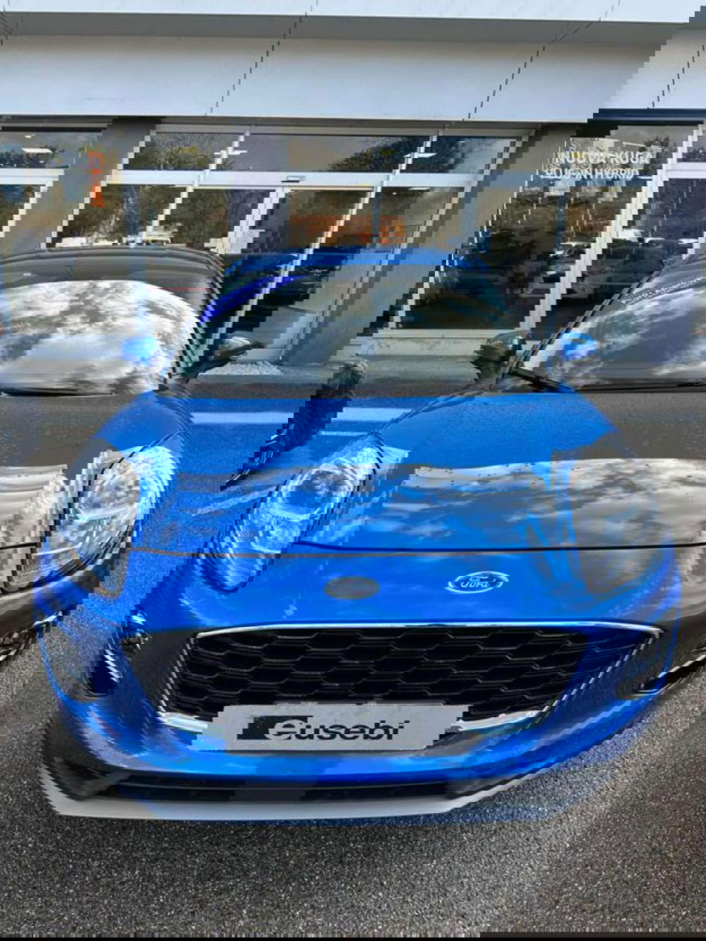 Ford Puma usata a Pesaro-Urbino (4)