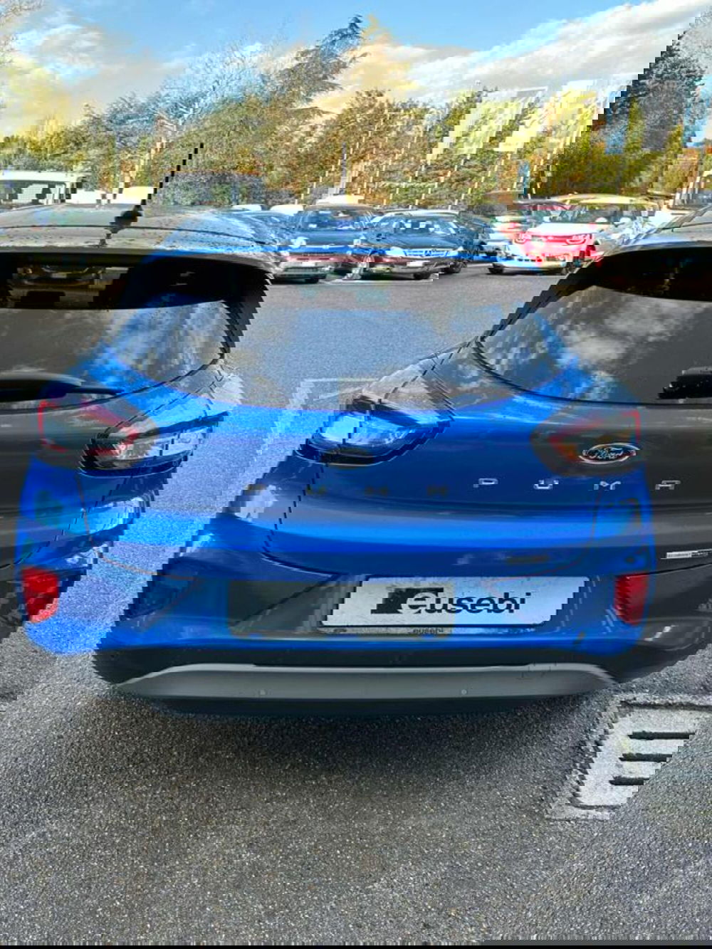 Ford Puma usata a Pesaro-Urbino (8)