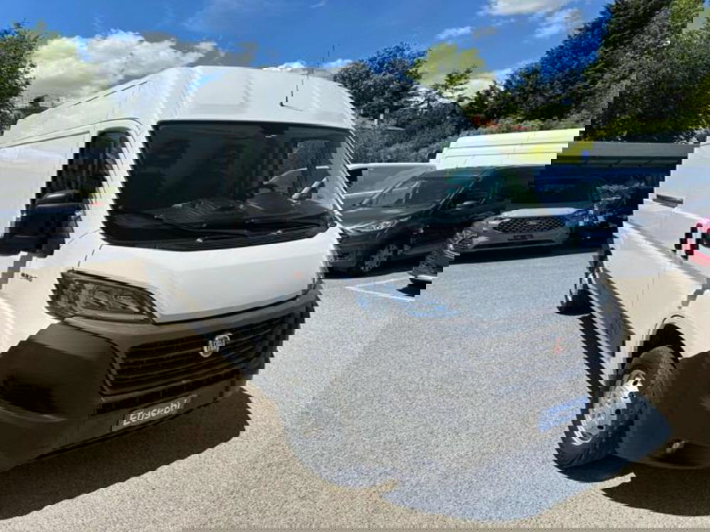 Fiat Ducato Furgone usata a Pesaro-Urbino