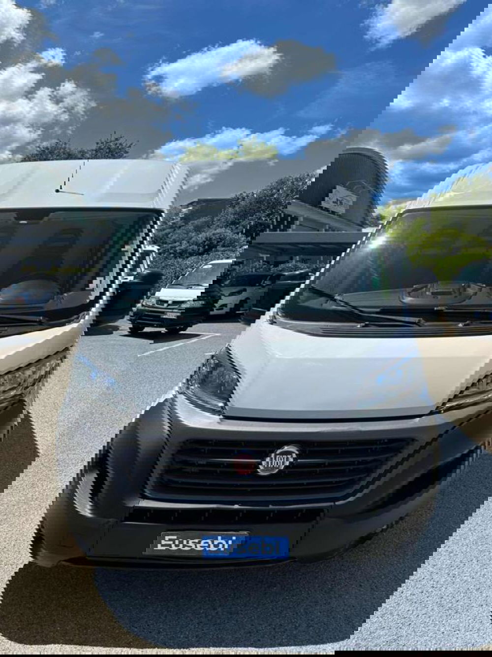 Fiat Ducato Furgone usata a Pesaro-Urbino (3)