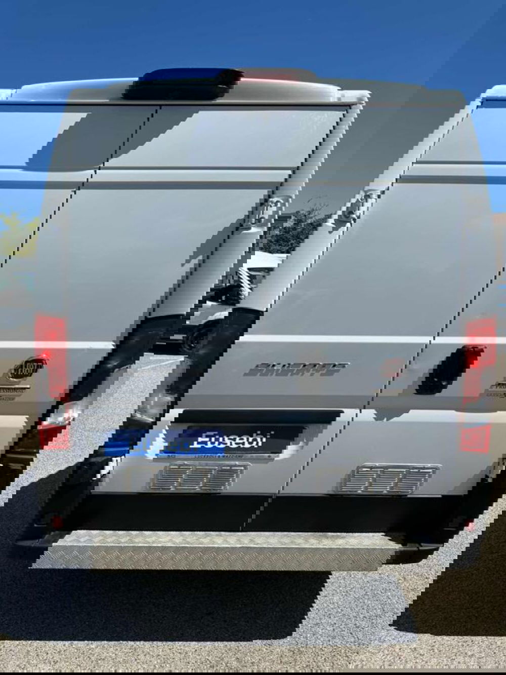 Fiat Ducato Furgone usata a Pesaro-Urbino (6)