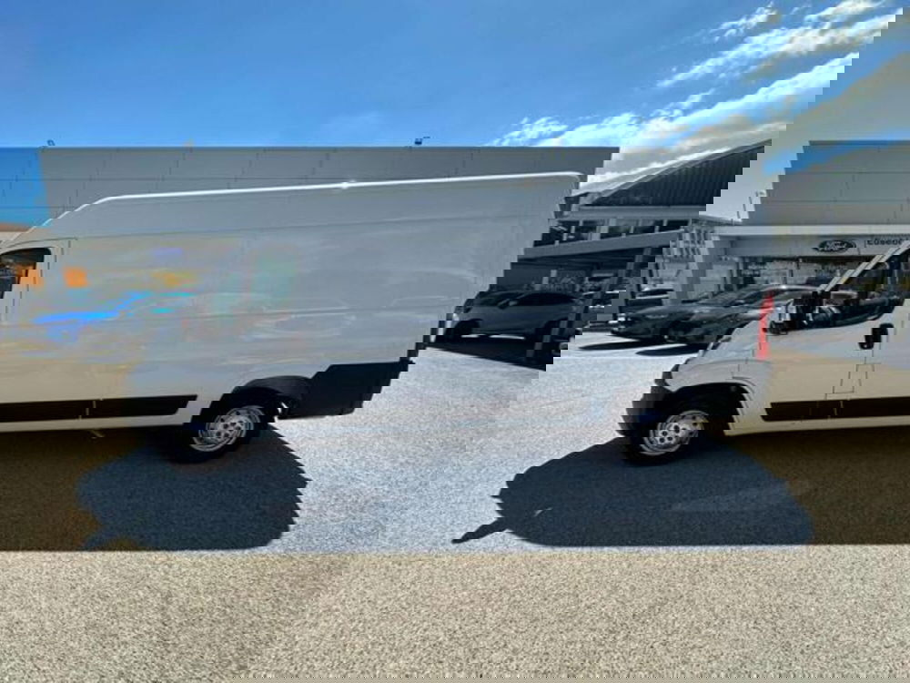 Fiat Ducato Furgone usata a Pesaro-Urbino (7)