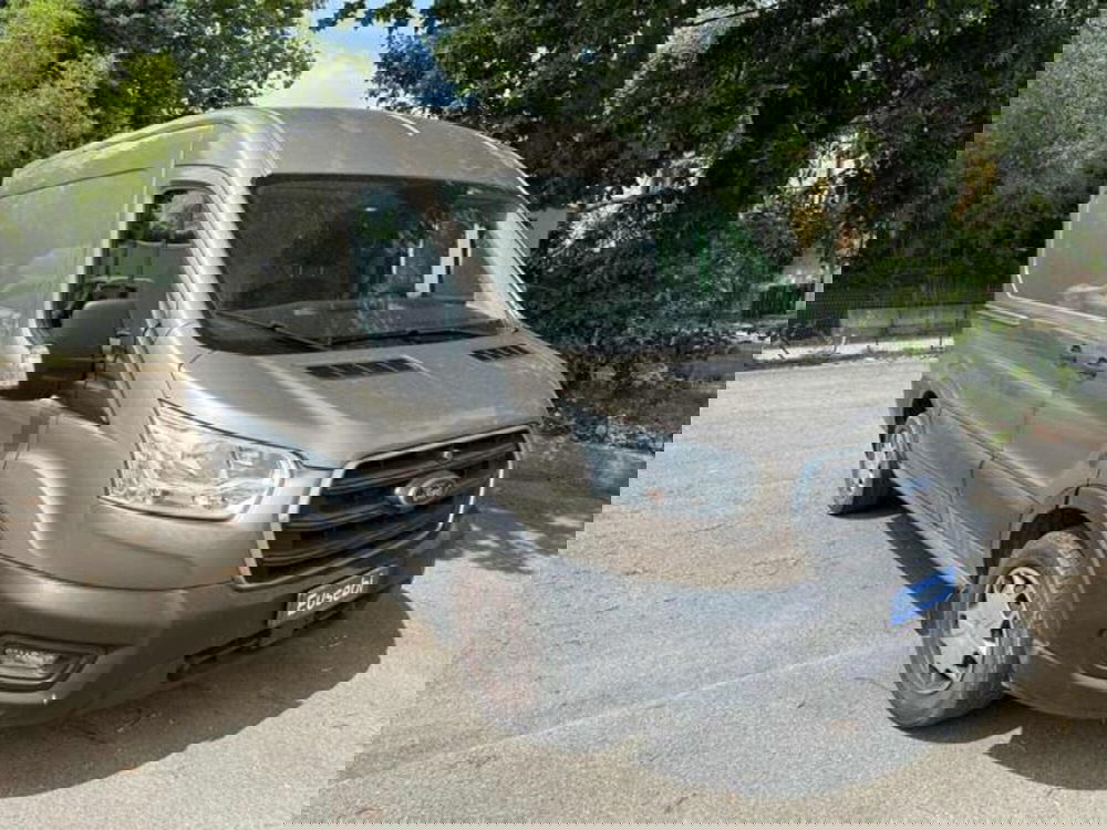 Ford Transit Furgone usata a Pesaro-Urbino