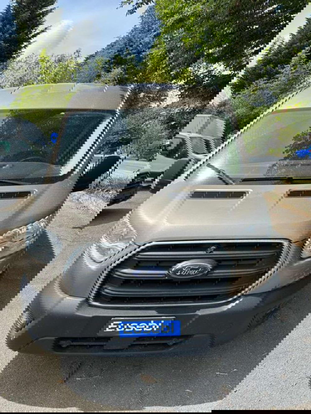 Ford Transit Furgone usata a Pesaro-Urbino (3)