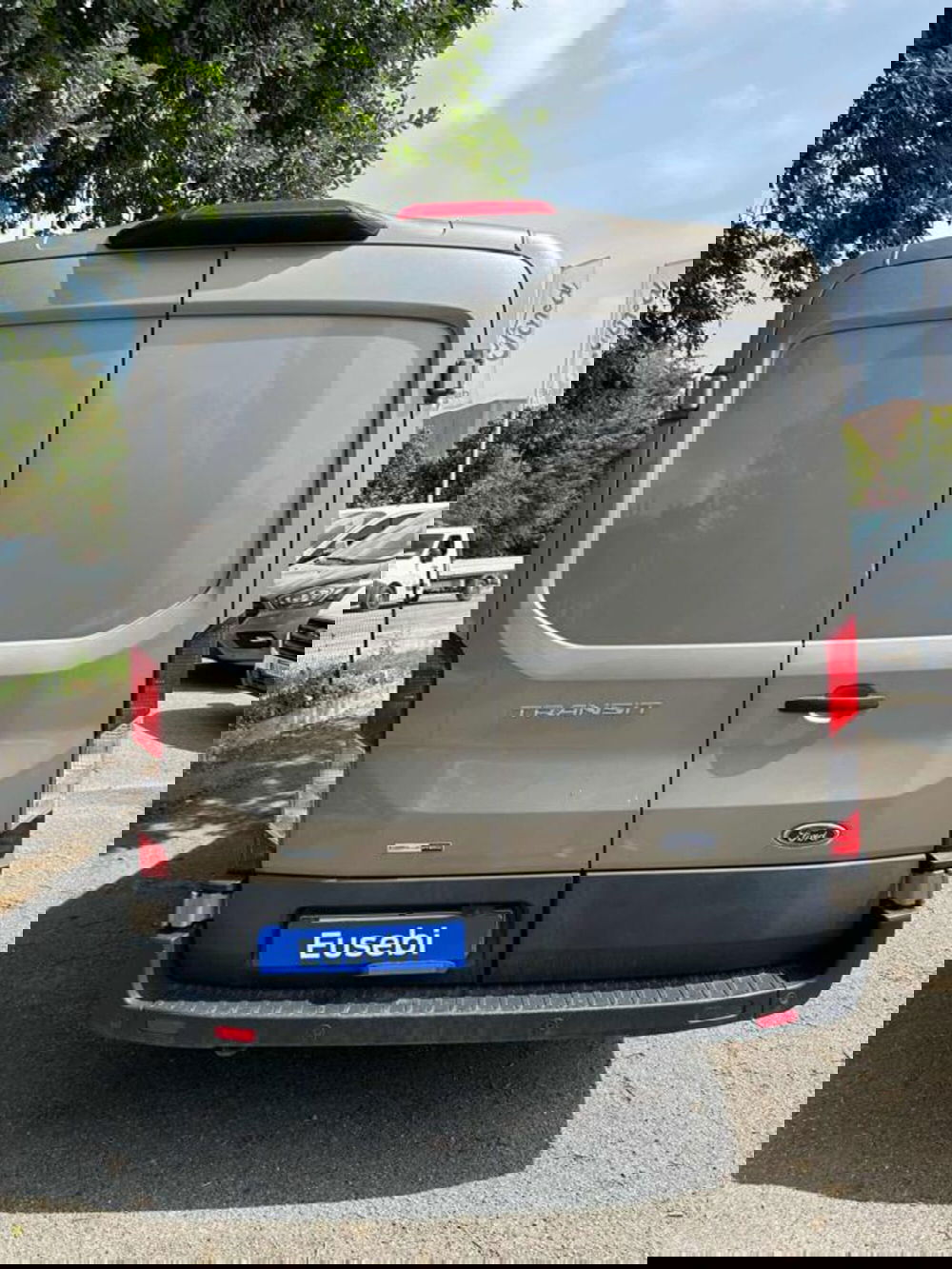 Ford Transit Furgone usata a Pesaro-Urbino (4)