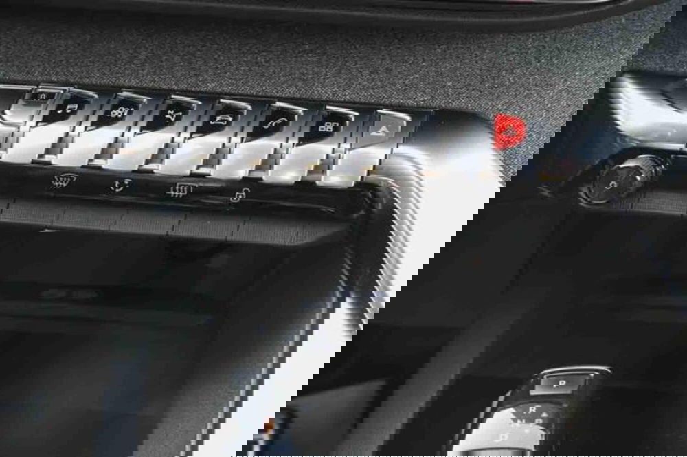 Peugeot 3008 usata a Torino (19)