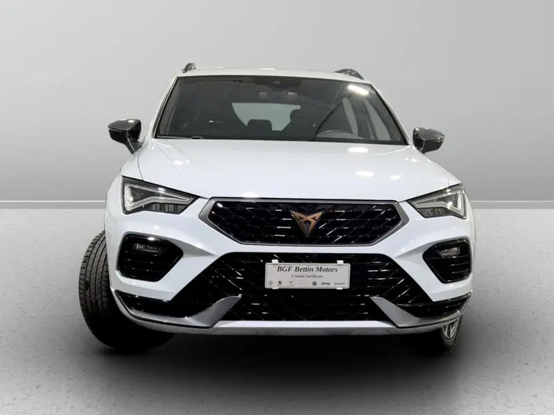 Cupra Ateca usata a Padova (7)