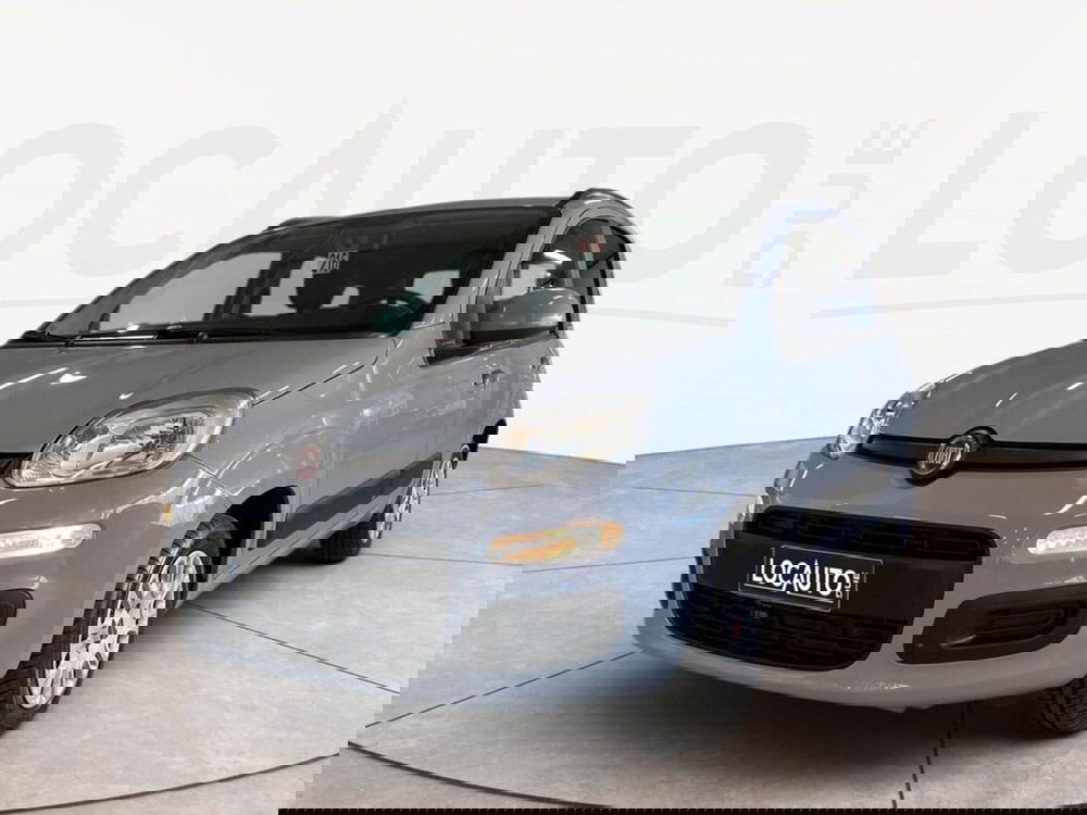 Fiat Panda usata a Torino