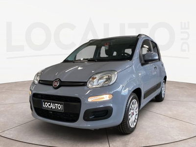 Fiat Panda 1.2 Pop del 2019 usata a Torino