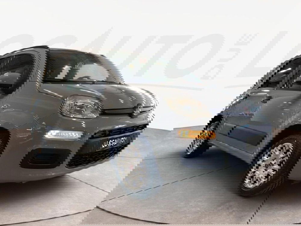 Fiat Panda usata a Torino (3)