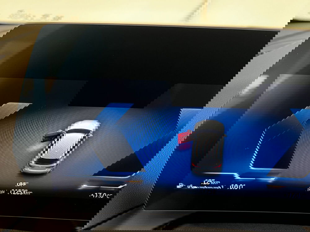 BMW Serie 1 usata a Torino (15)