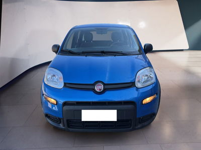Fiat Panda 1.0 firefly hybrid s&amp;s 70cv 5p.ti del 2024 usata a Torino