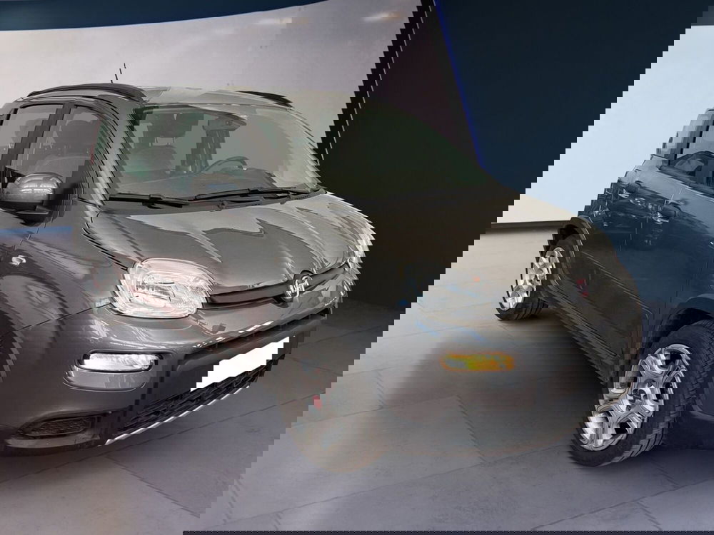 Fiat Panda usata a Torino (3)