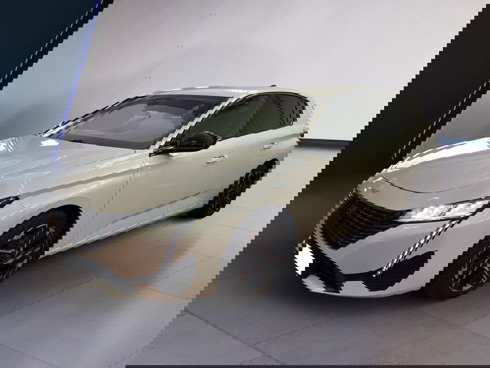 Peugeot 308 usata a Torino (2)