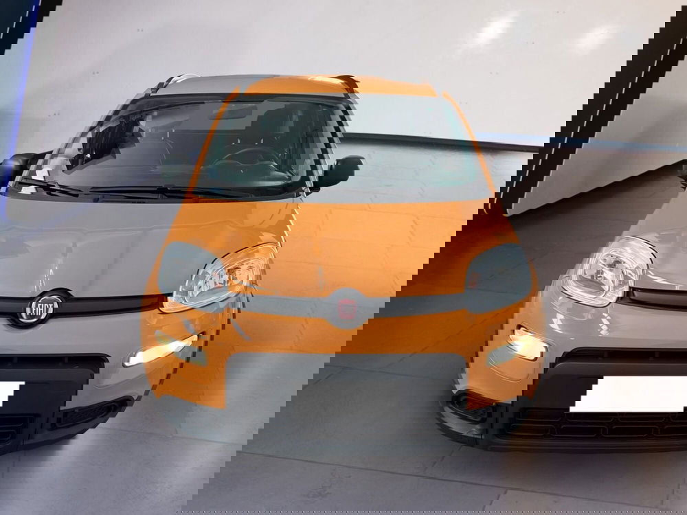 Fiat Panda usata a Torino