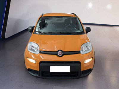 Fiat Panda 1.0 firefly hybrid s&amp;s 70cv 5p.ti del 2022 usata a Torino